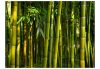 Fotótapéta - Ázsiai bambusz erdő I  -  ajandekpont.hu