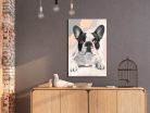 Kifestő - French Bulldog  - ajandekpont.hu