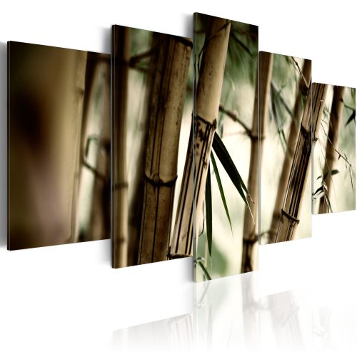 Kép - Asian bamboo forest - ajandekpont.hu