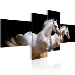 Kép - Animal world- white horses galloping - ajandekpont.hu