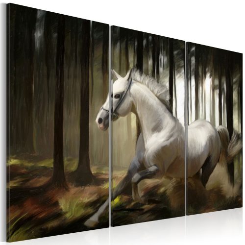 Kép - A white horse in the midst of the trees - ajandekpont.hu