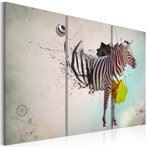 Kép - zebra - abstract - ajandekpont.hu