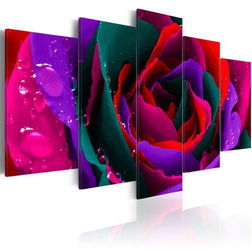 Kép - Multicoloured rose - ajandekpont.hu
