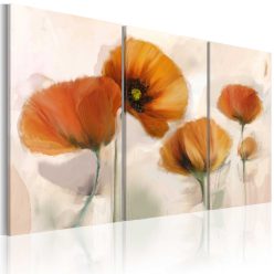 Kép - Artistic poppies - triptych - ajandekpont.hu