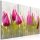 Kép - Spring bouquet of tulips - ajandekpont.hu