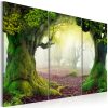 Kép - Mysterious forest - triptych - ajandekpont.hu