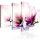 Kép - Pink flowers: magnolias - ajandekpont.hu