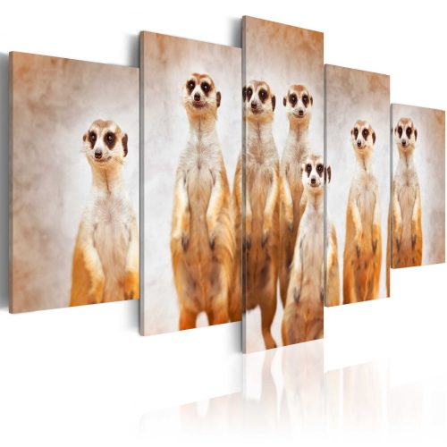Kép - Family of meerkats - ajandekpont.hu