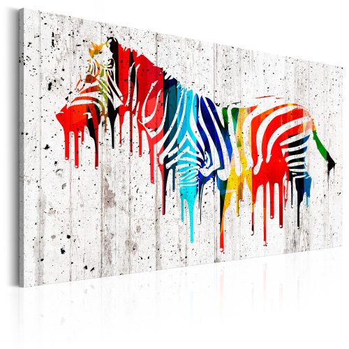 Kép - Colourful Zebra - ajandekpont.hu