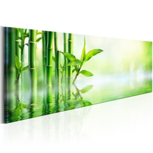 Kép - Green Bamboo - ajandekpont.hu