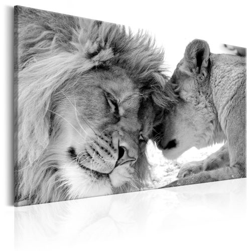 Kép - Lion's Love - ajandekpont.hu