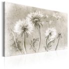 Kép - Dandelions (Pencil Artwork) - ajandekpont.hu