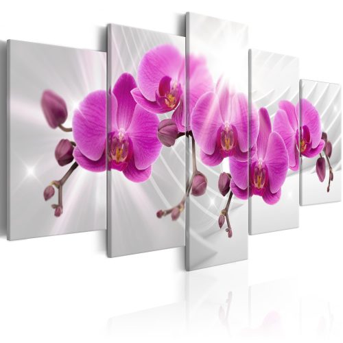 Kép - Abstract Garden: Pink Orchids - ajandekpont.hu