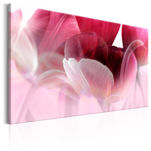 Kép - Nature: Pink Tulips - ajandekpont.hu