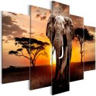 Kép - Wandering Elephant (5 Parts) Wide - ajandekpont.hu