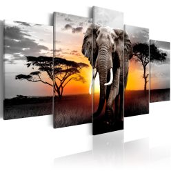 Kép - Elephant at Sunset - ajandekpont.hu