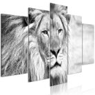 Kép - The King of Beasts (5 Parts) Wide Black and White - ajandekpont.hu