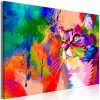 Kép - Colourful Cat (1 Part) Wide - ajandekpont.hu