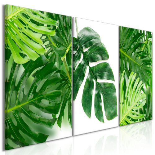Kép - Palm Leaves (3 Parts) - ajandekpont.hu