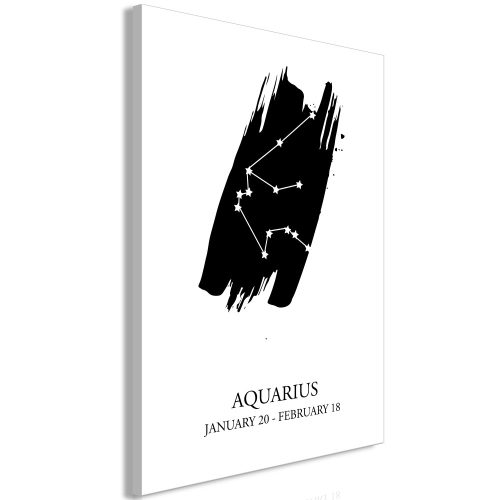 Kép - Zodiac Signs: Aquarius (1 Part) Vertical - ajandekpont.hu