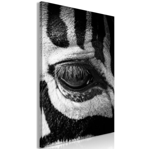 Kép - Zebra Eye (1 Part) Vertical - ajandekpont.hu