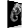 Kép - Portrait of Elephant (1 Part) Vertical - ajandekpont.hu