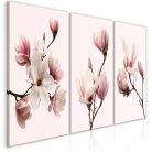 Kép - Spring Magnolias (3 Parts) - ajandekpont.hu