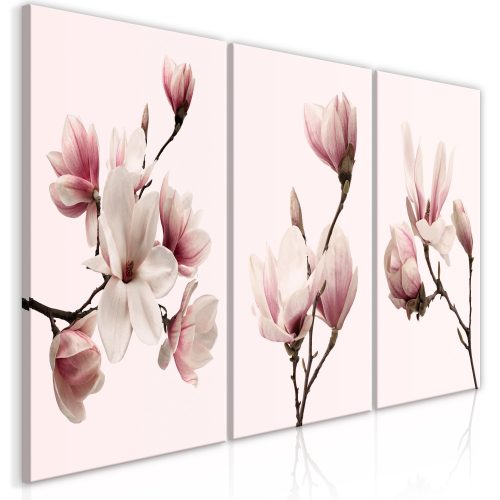 Kép - Spring Magnolias (3 Parts) - ajandekpont.hu