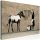 Kép - Banksy: Washing Zebra on Concrete (1 Part) Wide - ajandekpont.hu