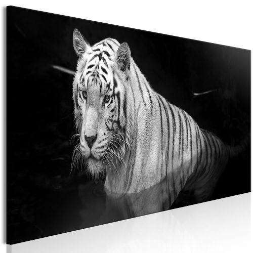 Kép - Shining Tiger (1 Part) Black and White Narrow - ajandekpont.hu