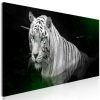 Kép - Shining Tiger (1 Part) Green Narrow - ajandekpont.hu