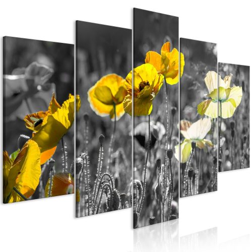 Kép - Yellow Poppies (5 Parts) Wide - ajandekpont.hu