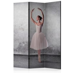 Paraván egyoldalú fotónyomtatással - Ballerina in Degas paintings style [Room Dividers] - ajandekpont.hu