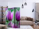 Paraván egyoldalú fotónyomtatással - Purple spring tulips [Room Dividers] - ajandekpont.hu