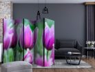 Paraván egyoldalú fotónyomtatással - Purple spring tulips II [Room Dividers] - ajandekpont.hu