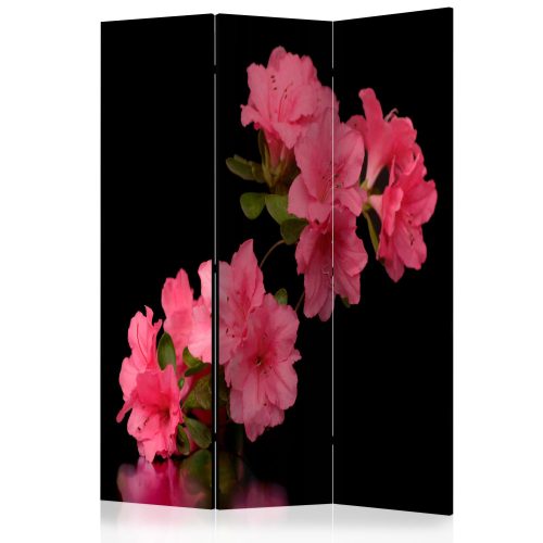 Paraván egyoldalú fotónyomtatással - Azalea in Black [Room Dividers] - ajandekpont.hu