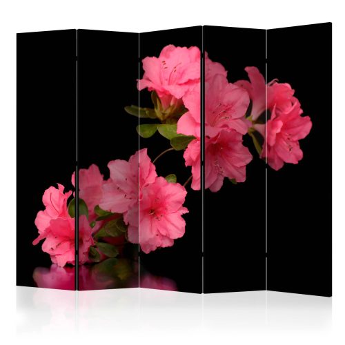 Paraván egyoldalú fotónyomtatással - Azalea in Black II [Room Dividers] - ajandekpont.hu