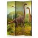 Paraván egyoldalú fotónyomtatással - Dinosaurs [Room Dividers] - ajandekpont.hu