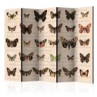 Paraván - Retro Style: Butterflies II [Room Dividers] - ajandekpont.hu