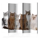 Paraván - Sweet Cats II [Room Dividers] - ajandekpont.hu