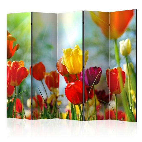 Paraván egyoldalú fotónyomtatással - Spring Tulips II [Room Dividers] - ajandekpont.hu