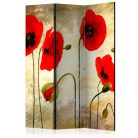 Paraván - Golden Field of Poppies [Room Dividers] - ajandekpont.hu