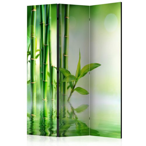 Paraván - Green Bamboo [Room Dividers] - ajandekpont.hu