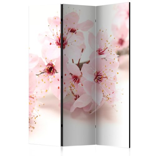 Paraván - Cherry Blossom [Room Dividers] - ajandekpont.hu