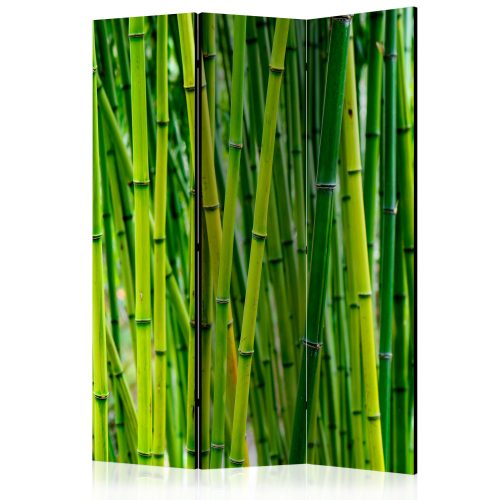 Paraván - Bamboo Forest [Room Dividers] - ajandekpont.hu