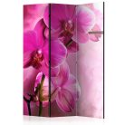 Paraván - Pink Orchid [Room Dividers] - ajandekpont.hu