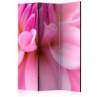 Paraván - Flower petals - dahlia [Room Dividers] - ajandekpont.hu