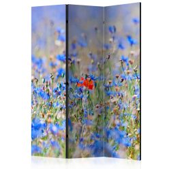 Paraván egyoldalú fotónyomtatással - A sky-colored meadow - cornflowers [Room Dividers] - ajandekpont.hu