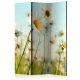 Paraván egyoldalú fotónyomtatással - Daisies - spring meadow [Room Dividers] - ajandekpont.hu