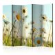 Paraván egyoldalú fotónyomtatással - Daisies - spring meadow II [Room Dividers] - ajandekpont.hu